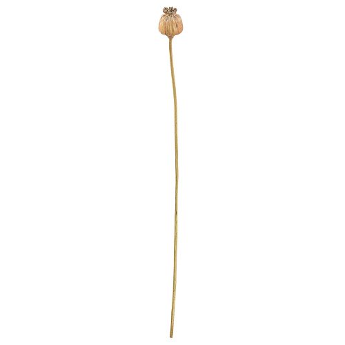 Κλαδί Σενέκιο ArteLibre Τεχνητό Καφέ 55cm