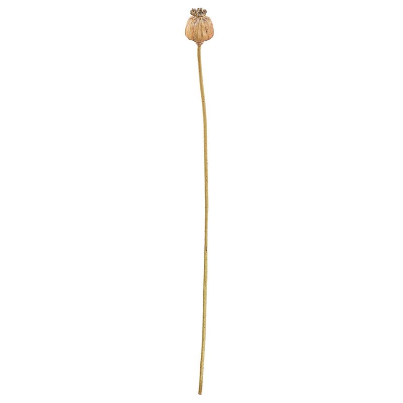 Κλαδί Σενέκιο ArteLibre Τεχνητό Καφέ 55cm